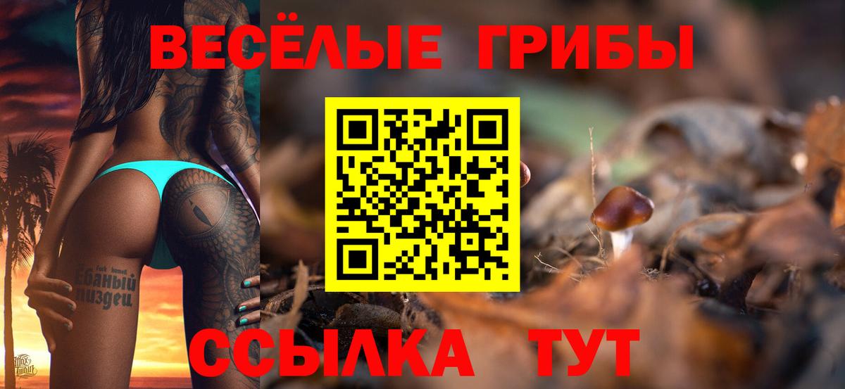 как найти наркотики  Галлюциногенные грибы Psilocybine cubensis  Вход с VPN  Ишимбай 